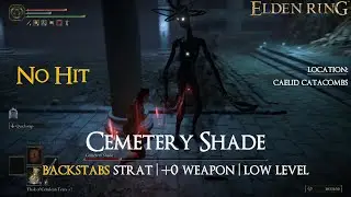 Elden Ring - Cemetery Shade (No Damage | Backstabs strat | +0 Weapon) [Caelid Catacombs]