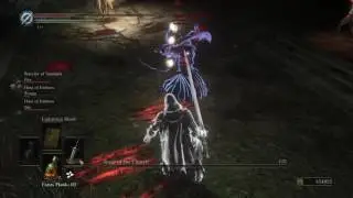 Dark Souls III - SotC online glitch