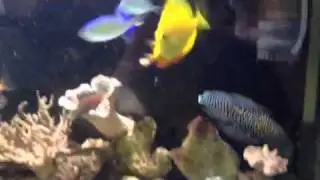 Test tank at ultimate aquacare lab