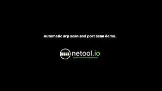 Netool io - ARP Scan and port scan (auto)