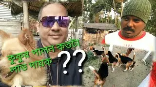 শখের বশে কুকুর পালন করে ২ লক্ষ টাকা রোজগার😱 | Dog Firming all information | #BanglaVlog