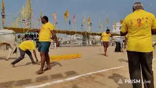 చిలకలూరి పేట గ్రామం||2పల్ల విభాగం 4వ జత MKR బుల్స్
మైలా త్రివేణి నాయుడు గారు 19-1-2026💥💥