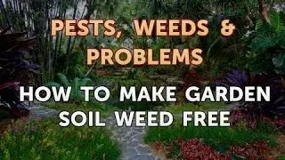 How to Make Garden Soil Weed Free