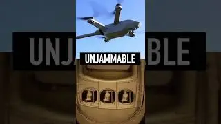 Pigeon Guided Missiles Were Real 🐦