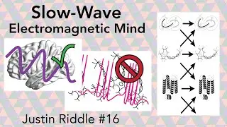 #16 - Slow-Wave Electromagnetic Mind: thinking in neural rhythms