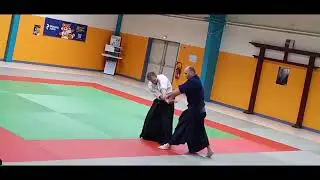 HAKKO RYU JUJUTSU