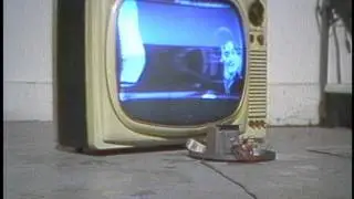 Our Pet TV  Alan Powell 1982