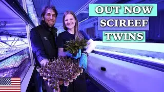 SciReef`s next Generation: What is a twin coral?