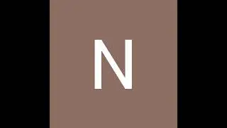 Mauersegler Nistkamera