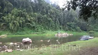 Temenggor Lake, Malaysia. 20191127_074153.uhd