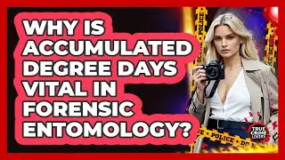 Why Is Accumulated Degree Days Vital In Forensic Entomology? - True Crime Lovers