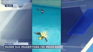 VC no SP (12/09/2022)