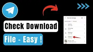 How To Check Telegram Download File !