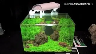 The Art of the Planted Aquarium 2015 - Dennerle Scaper's Tank (Nano) compilation pt.2