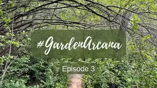#GardenArcana Episode 3: VR to  @CandySoulAndSoil and @GardenGoddessTarot ​⁠