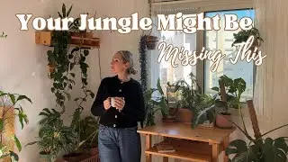How to Elevate Your Plant Corner (Tips You Might Be Missing) 🏡💚