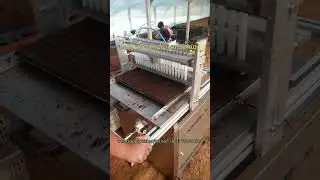 Vegetable nursery seeder machine for greenhouse farming | Nursery tray seed sowing machine