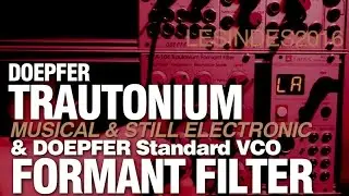 DOEPFER TRAUTONIUM FORMANT FILTER A-104 + STANDARD VCO