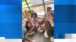 NS Humane Society