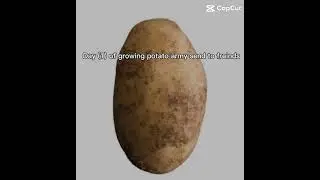 Join the potato army
