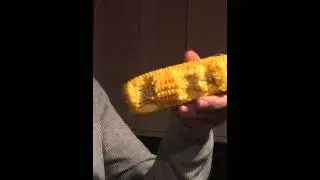 Can corn go bad? Dad thinks not.