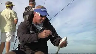 Redfish, Snook and Trout all on Mirro Lure lures with Capt. TJ Stewart and Mike Tennian