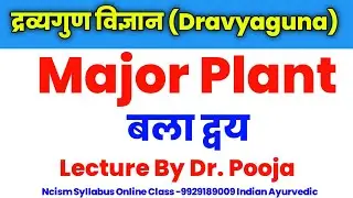 बला Bala dwya | Sida cordifolia Plant | BAMS 2nd Year Lecture | Dravya Guna Lecture | Dg | #dgplant