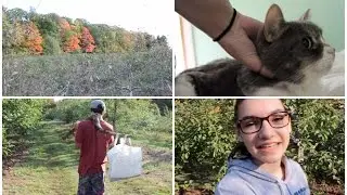 APPLE PICKING ADVENTURES