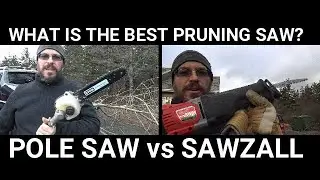 RYOBI 40 V POLE SAW vs SAWZALL AND DIABLO PRUNING BLADE