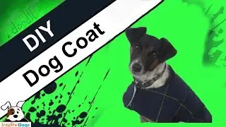 Best Way to Make DIY Dog Coat Without Fail (Step by Step)
