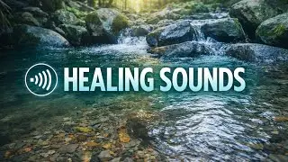 Peaceful River Ambience for Sleep Therapy & Healing