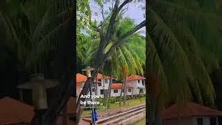 COUNT ON ME ~BRUNO MARK 🎶🏝️#lyricssongs#overlay#cover#nongsapoint#batamexplore#travelvlog#fypシ#viral