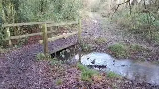 A wet muddy walk