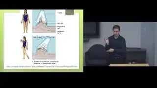 SFU Biomedical, Physiology and Kinesiology Weekly Seminar Series 