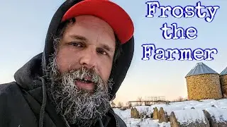 Молочное животноводство в условиях сильных морозов! Новорожденный теленок появился на свет в суро...