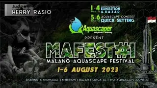 MAFEST#1 MALANG AQUASCAPE FESTIVAL 2023.#aquascape