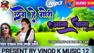 लगे हे गोरी ।।आना जाना।। जिंदगी के नहीं हे रे ठिकाना।। स्वर दयाल दास राखी धार्वे।। VINOD K MUSIC 12 