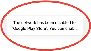 The Network Has Been Disabled For Google Play Store