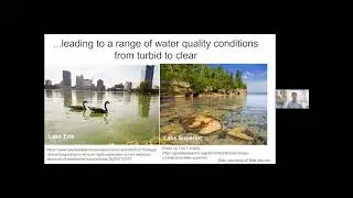 2022 Virtual HAB Symposium - HAB Monitoring and Ecology