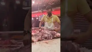 despiece de delantero y lempio