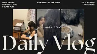 Productive Week in My Life 2025 | DIY Furniture, Dog Mom Routine & Fall Activities
