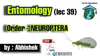 Order NEUROPTERA (lec 39) &bull; Entomology &bull; Go For Agriculture #neuroptera #icar #bhu #ibps