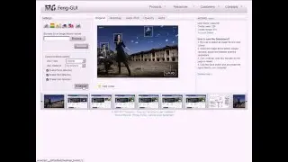 Feng-GUI.com Attention Analysis Dashboard (V3 2011)