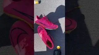 Maxflys Popped 🤦&zwj;♂️