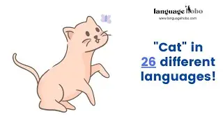 How to say 