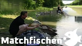 Matchfischen mit Carp Secret Karpfen K&ouml;der und Posen - Fishingprofi