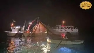 L&rsquo;emozionante #LAMPARATA sotto le #stelle #cilento  #mare  #marinadicamerota #cilentomare  #PNCVD