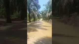 jalan tergenang air dikit#banjir2024