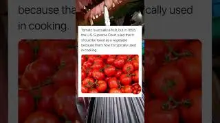 Tomato is actually a fruit, but in 1893, the U.S. Supreme Court ruled that it should be#usa #shorts