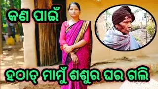 କଣ ପାଇଁ ମାମୁଁ ଶଶୁର ଘରକୁ ଗଲି ହଠାତ୍ 😳